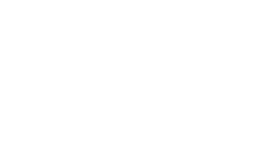 Vision Global Holdings Logo
